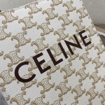 Celine Mini Vertical Cabas in Triomphe Canvas and calfskin with Celine print White