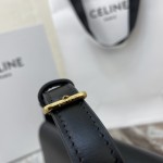 Celine Shoulder Bag Triomphe in shiny calfskin Black