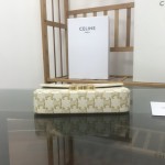 Celine Shoulder Bag Triomphe in shiny calfskin and canvas