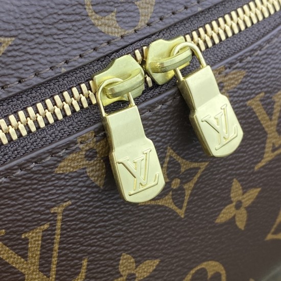 Louis Vuitton Monogram Canvas Nice Mini M44495