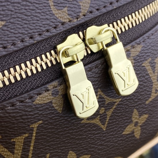 Louis Vuitton Monogram Canvas Nice Nano M44936