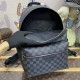 Replica Louis Vuitton Discovery Backpack N40514