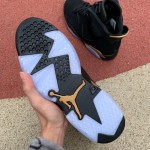 Air Jordan 6 DMP Retro