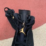 Air Jordan 6 DMP Retro