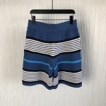 BBR Stripe Print Nylon Shorts Blue