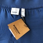 BBR Stripe Print Nylon Shorts Blue