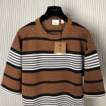 BBR Stripe Print Nylon Oversized T-shirt Brown