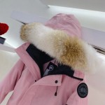 CA Goose Chilliwack Bomber Jacket Pink