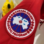 CA Goose Chilliwack Bomber Jacket Red