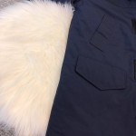 CA Goose Carson Parka Blue