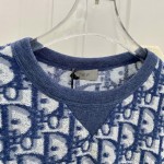 Dior Oblique Relaxed-Fit T-Shirt Blue and White Terry Cotton Jersey