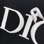 Dior and Judy Blame T shirt Black