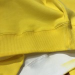 Dior AND SHAWN Sweatshirt Cotton Fleece Yellow