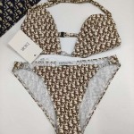 Dior Oblique Bikini Swimsuit Grey