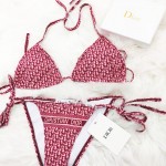 Dior oblique bikini swimsuit red