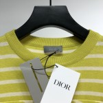 Dior Oversized Dior Striped T shirt Yellow