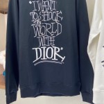 Dior and Shawn Oversized Hooded Sweatshirt Black