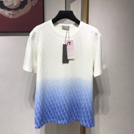 Dior Gradient Jersey T shirt with All Over Dior Oblique Motif White/Blue