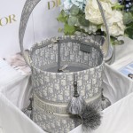 Dior D-Bubble Bucket Bag Grey oblique