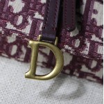 New Dior Oblique Saddle Belt Bag Red