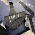 Dior Saddle Bag Black Grained Calfskin with DIOR AND SHAWN Signature