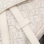 Dior Saddle Bag White Dior Oblique Jacquard