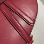 Dior Saddle Calfskin Bag Red