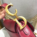 Dior Saddle Calfskin Bag Red