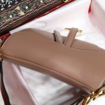 Dior Saddle Calfskin Bag Tan