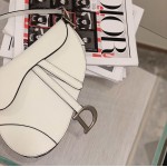 Dior Saddle Calfskin Bag White