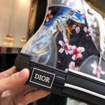 Dior B23 High Canvas Sorayama Dinosaur Black