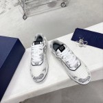 Dior B27 Low Top Sneaker Navy and White smooth calfskin