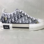 Dior B23 Low Logo Oblique Foxton Print