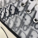 Dior B23 Low Logo Oblique Foxton Print