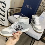 Dior B27 High Top Dior Oblique Grey