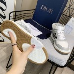 Dior B27 High Top Dior Oblique Grey