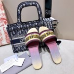 Dior Slide Multicolor Embroidered Cotton Rainbow