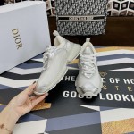 Dior Vibe Sneaker White Mesh and SIlver-Tone Leather