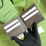 Gucci 100 wallet brown ‎676238