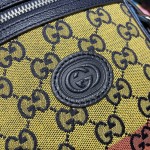 Gucci GG Multicolour bag 658659