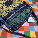 Gucci GG Multicolour bag 658659