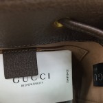 Gucci Ophidia small GG bucket bag 550621