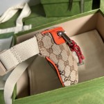 The North Face x Gucci Belt Bag ‎650299