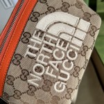 The North Face x Gucci Belt Bag ‎650299