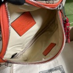 The North Face x Gucci Belt Bag ‎650299