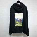 The North Face x Gucci sweatshirt ‎671453