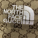 The North Face x Gucci nylon vest Beige