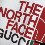 The North Face x Gucci Hoodie  / Black Cat White