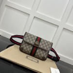 Gucci Ophidia small belt bag ‎752597