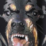 Givenchy Rottweiler Printed Sweatshirt Black